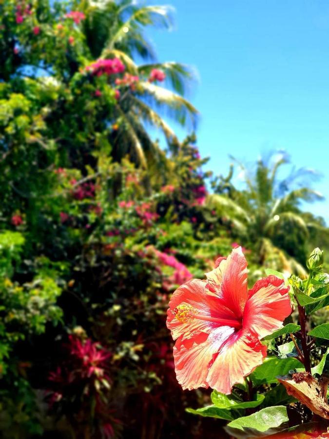 Gite 4 Etoiles, La Vieille Sucrerie St Claude Guadeloupe, Jacuzzi Spa Privatif, Vue Exceptionnelle Sur La Mer Des Caraibes Basse-Terre Eksteriør billede