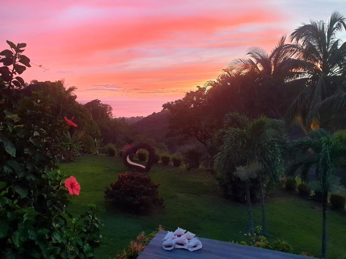 Gite 4 Etoiles, La Vieille Sucrerie St Claude Guadeloupe, Jacuzzi Spa Privatif, Vue Exceptionnelle Sur La Mer Des Caraibes Basse-Terre Eksteriør billede