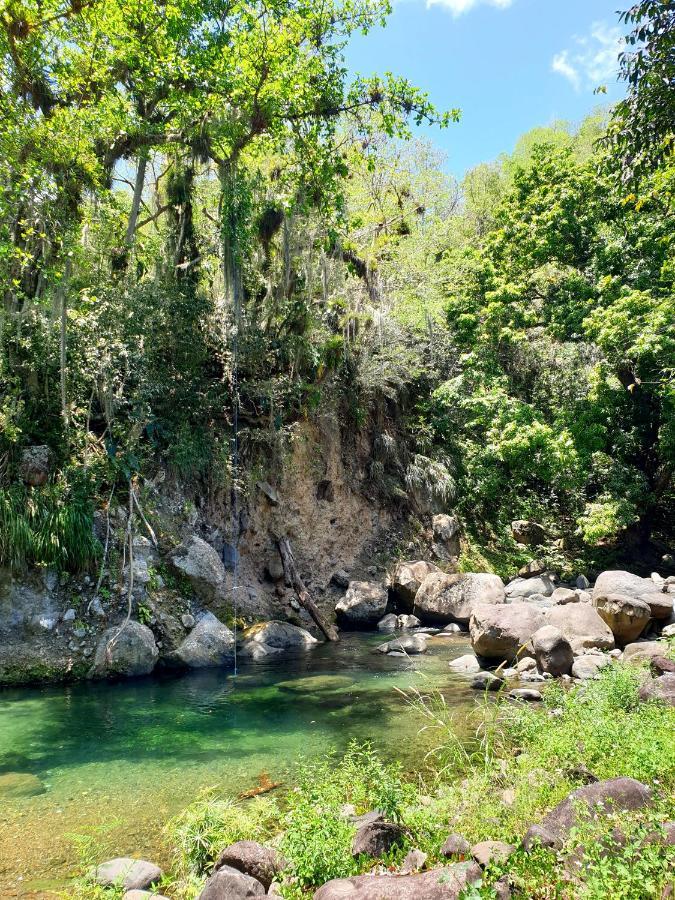 Gite 4 Etoiles, La Vieille Sucrerie St Claude Guadeloupe, Jacuzzi Spa Privatif, Vue Exceptionnelle Sur La Mer Des Caraibes Basse-Terre Eksteriør billede