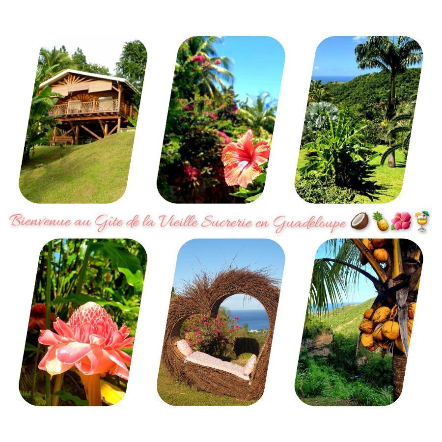 Gite 4 Etoiles, La Vieille Sucrerie St Claude Guadeloupe, Jacuzzi Spa Privatif, Vue Exceptionnelle Sur La Mer Des Caraibes Basse-Terre Eksteriør billede