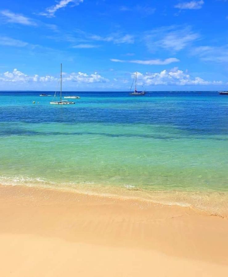 Gite 4 Etoiles, La Vieille Sucrerie St Claude Guadeloupe, Jacuzzi Spa Privatif, Vue Exceptionnelle Sur La Mer Des Caraibes Basse-Terre Eksteriør billede