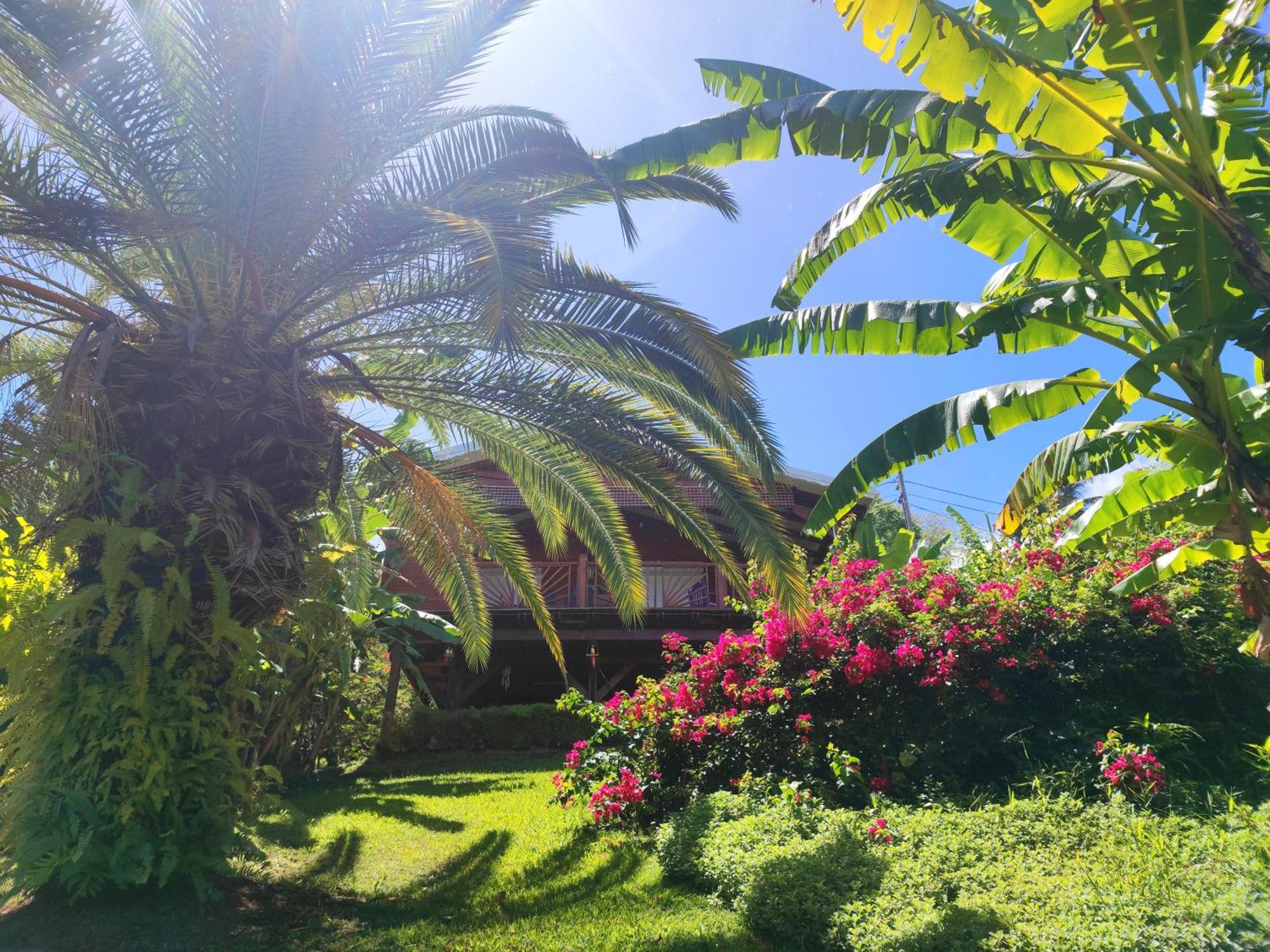 Gite 4 Etoiles, La Vieille Sucrerie St Claude Guadeloupe, Jacuzzi Spa Privatif, Vue Exceptionnelle Sur La Mer Des Caraibes Basse-Terre Eksteriør billede